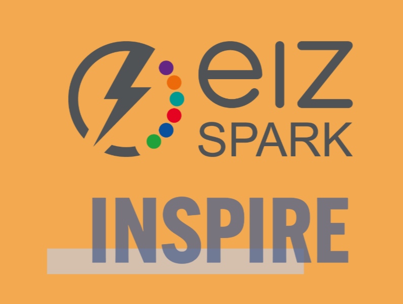 EIZ SPARK Inspire Bild